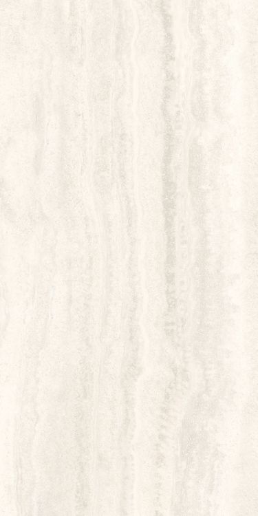 Appia Vein Cut White Matte 24 x 48